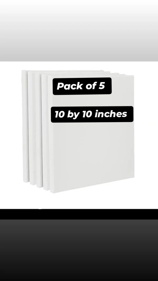 Pack of 5 canvases deals - Image 5