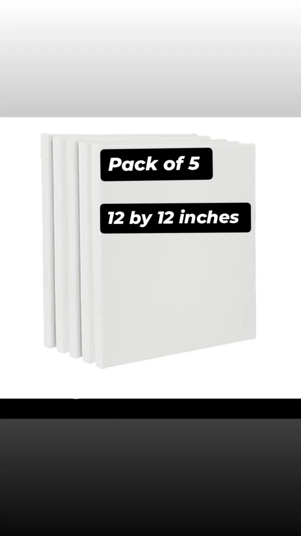 Pack of 5 canvases deals - Image 6