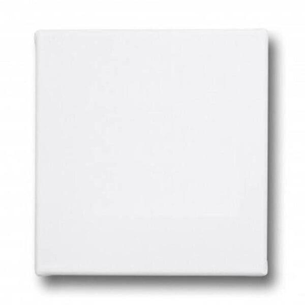 10by10 inches canvas (10×10) - Image 3