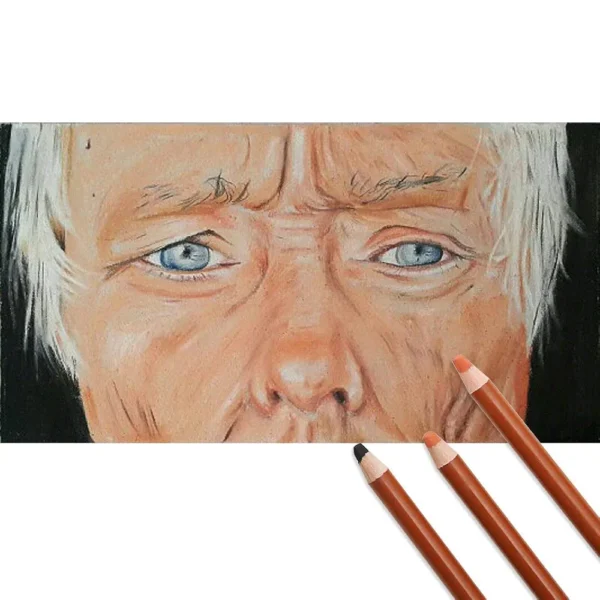 Worison pastel pencils 12 /8 PCs (skin tone) - Image 10