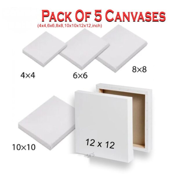 Pack of 5 canvases 4",6",8",10" & 12" - Image 4