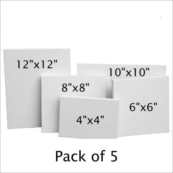 Pack of 5 canvases 4",6",8",10" & 12" - Image 2