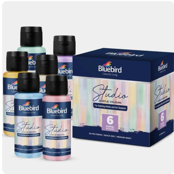 Bluebird studio acrylic color -100ml - 6 pastel shades
